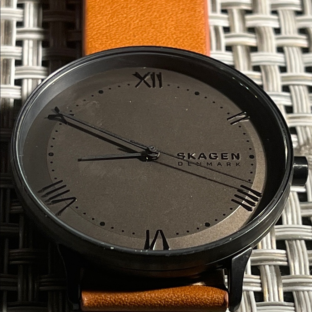 Skagen Black and Brown Men's Watch